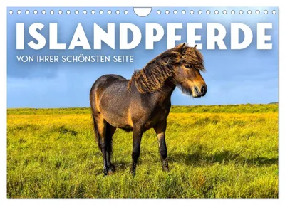 Produktbild von Islandpferde - Von ihrer schönsten Seite (Wandkalender 2027 DIN A4 quer), CALVENDO Monatskalender