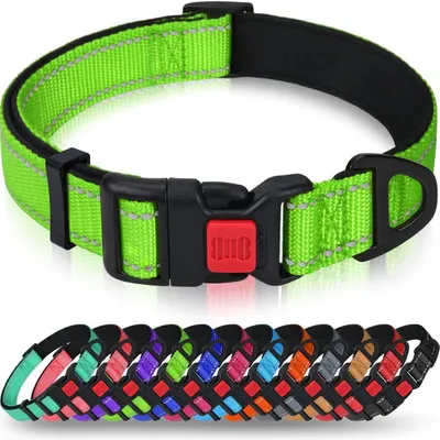 Produktbild von Hundehalsband Neopren Nylon Verstellbar Reflektierend Grün M (35-50cm)
