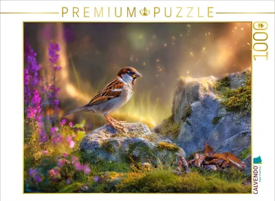 Produktbild von CALVENDO Puzzle Wild, frei und unbeachtet | 1000 Teile Lege-Größe 64x48cm Foto-Puzzle für glückliche Stunden