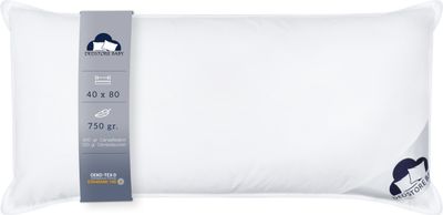 Kopfkissen 3 Kammer 40x80cm Federn Daunen Naturprodukt Hotelqualität Kissen 750g