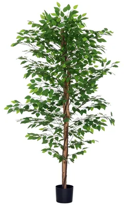 Produktbild von Ficusbaum künstlich 180cm HOMCOM Kunstpflanze grün dekorativ Zimmerpflanze