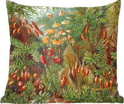 Produktbild von MuchoWow® Zierkissen Sofakissen Wohnzimmer Dekokissen 40x40 cm Muscinae - Ernst Haeckel - Alte Meister - Foto Kissen - Schlafzimmer Dekoration