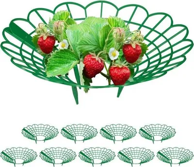 Produktbild von Erdbeerstütze im Set aus wetterbeständigem Kunststoff, 30 cm hoch, 20 cm Durchmesser