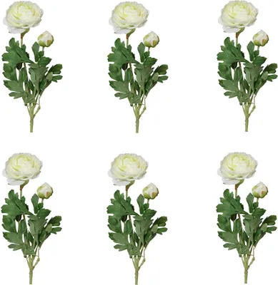 Produktbild von 6er Set künstliche Ranunkel Hahnenfuß cremeweiß mit 2 Blüten H. 40cm GASPER