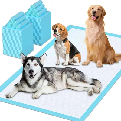 Produktbild von 40 Stück große saugfähige Hundematte, 80 x 120 cm, Einwegunterlage, Pipipiunterl