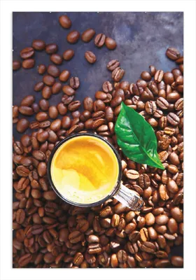 Produktbild von Wallario Wandbild Kaffee und Bohnen, Größe: 61 x 91,5 cm, Poster mit rahmenlosen Bildhalter