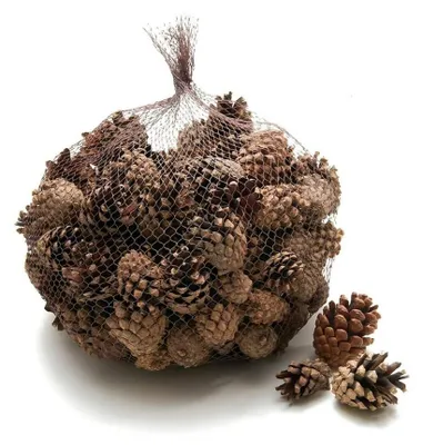 Produktbild von Kiefernzapfen 1 kg ca. 150 Stk 3-5 cm Pinus sylvestris Zapfen Basteln Deko Natur