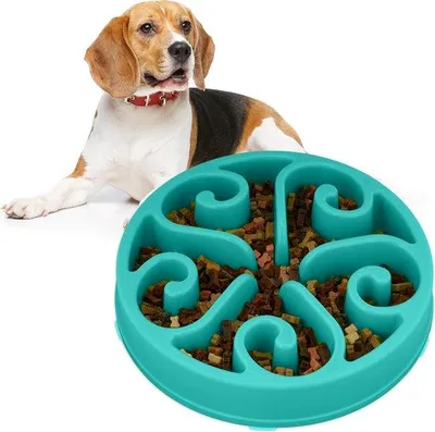 Productafbeelding van Hondenhoofdbedekking, diameter 30 cm - waterdicht - azuurblauw