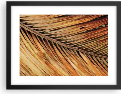 Produktbild von Gerahmtes Poster - Schwarzer Rahmen - Orange Blatt Tropisch - 40x30 cm - Wand Bild - Wanddeko - Wandbilder - Kunstposter - Wandposter - Bilderrahmen - Bilder - Kunstdruck - P2BAA40x30-4876
