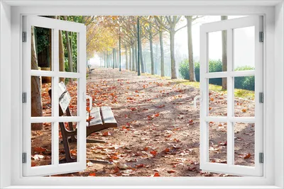 Produktbild von Wallario Poster mit Fenster-Illusion: Einsame Parkbank an einer Allee - Herbststimmung, Größe: 61 x 91,5 cm (Maxiposter)
