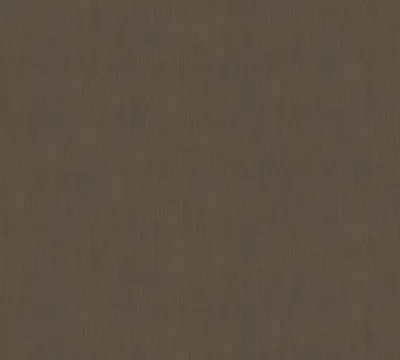 Obrázek produktu pro A.S. Creation AP Longlife Colours | 305634 | Vliestapete Einfarbig | 1,06 m x 21 m | Braun