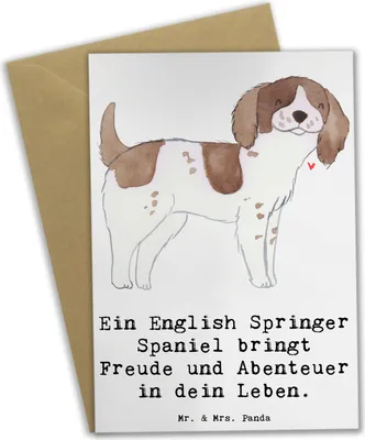 Produktbild von Mr. & Mrs. Panda Grußkarte English Springer Spaniel Freude - Weiß - Geschenk, freundlich, Hunderassen Eigenschaften, und Abenteuer, Hunderasse, Hund, kommunionskarte