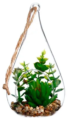 Produktbild von ATMOSPHERA 83207 Vase mit dekorativer Pflanze, transparent, 10 x 19,5 cm