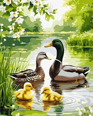 Image de Peinture par numéros - Une famille de canards 40 x 50 cm - Ideyka