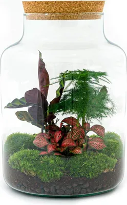 Immagine prodotto di Urbanjngl bottiglia da giardino Milky - 30 cm
