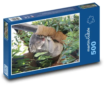 Obrázek produktu pro martinpuzzle - Puzzle 500 - Spící koala