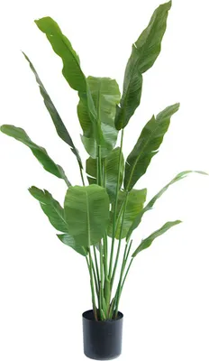 Obrázek produktu pro Umělá rostlina Strelitzia Nicolai 165 cm