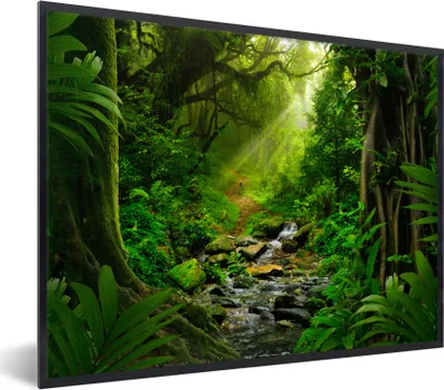 Produktbild von MuchoWow® Gerahmtes Poster Dschungel - Wasser - Laub - Sonne - Natur 80x60 cm - Poster mit Schwarzem Bilderrahmen Wandposter Rahmen Foto Bilder - Schwarzem - Mit Gestell
