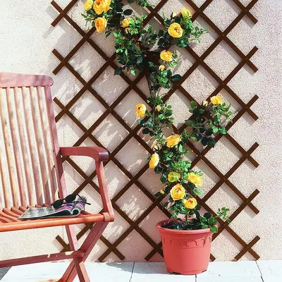 Image de Treillis extensible PVC, 0,50x1,50m