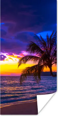 Produktbild von MuchoWow® Poster Palme - Lila - Sonnenuntergang - Strand - Meer 60x120 cm - Wandschmuck
