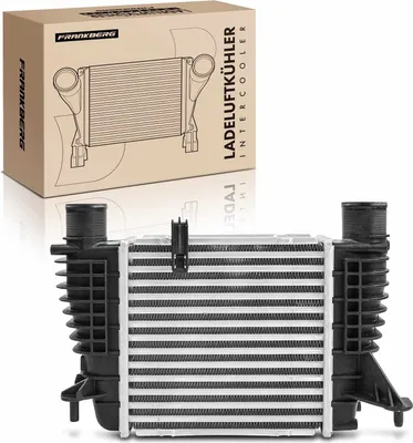 Productafbeelding van Frankberg 1x turbo-koeler voor Nissan Cube NV