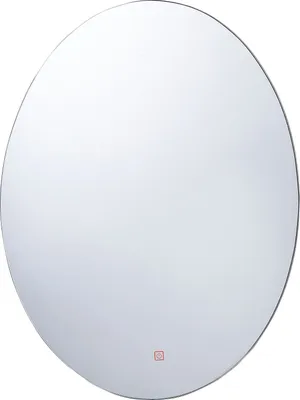 Produktbild von BELIANI Wandspiegel Silber Glas 80 x 60 cm mit LED Beleuchtung Oval Antibeschlagsystem Touch Sensor Modern