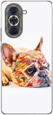 Produktbild von König Design Hülle kompatibel mit Huawei nova 10 Kunststoff Soft Handyhülle - Handy Case Bulldogge Bunt