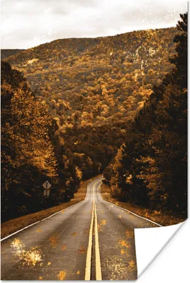 Produktbild von MuchoWow® Poster Gold - Straße - Bäume 40x60 cm - Plakate für die Wand - Poster Babyzimmer