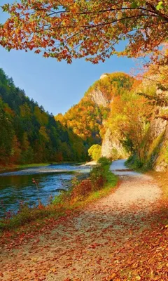 Produktbild von Fototapete - Dunajec River 150x250cm - Vliestapete