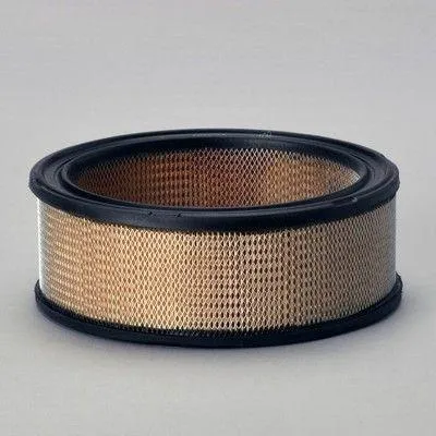 Immagine prodotto di Filtro aria DONALDSON P530639