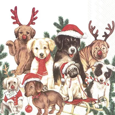 Produktbild von IHR Papierservietten Dog-MAS, 33x33 cm, 3-lagig, für die Weihnachtszeit, 20 Stück