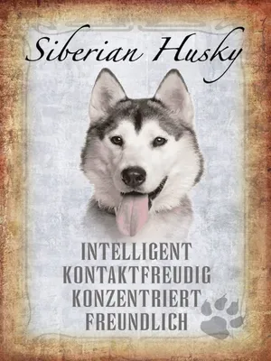 Produktbild von vianmo Holzschild 40x30 cm Siberian Husky Hund