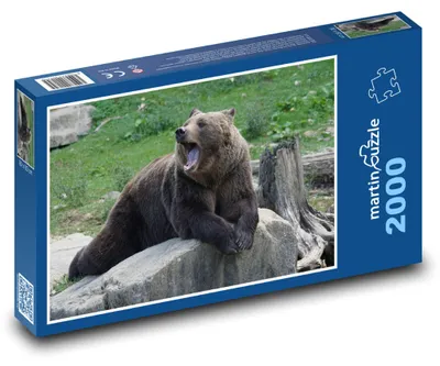 Obrázek produktu pro martinpuzzle - Puzzle 2000 - Zívající medvěd hnědý