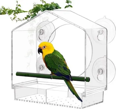 Immagine prodotto di Mangiatoia per uccelli in acrilico, grande, trasparente, 20,5 x 21,5 cm