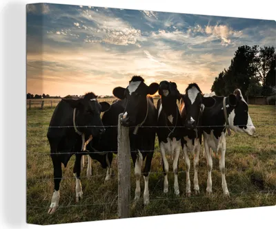 Produktbild von OneMillionCanvasses® - Leinwandbilder - 140x90 cm, Kühe - Tiere - Bauernhof, Wandbilder Kunstdruck Wanddekoration - Foto auf Leinwand - Gemälde auf Holzrahmen
