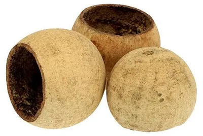 Produktbild von Bell Cup klein Natur Trockenfrucht Bastelbedarf 25 Stück