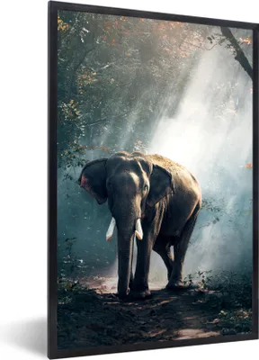 Produktbild von MuchoWow® Gerahmtes Poster Elefant - Tiere - Licht - Wald - Natur - Wildtiere 40x60 cm - Poster mit Schwarzem Bilderrahmen Wandposter Rahmen Foto Bilder - Papierdruck - Wandbilder