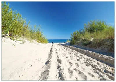 Produktbild von Wallario Premium Glasbild, freischwebende Optik, kräftige Farben, Größe 100 x 70 cm Motiv Auf dem Sandweg zum Strand - Blauer Himmel über dem Meer