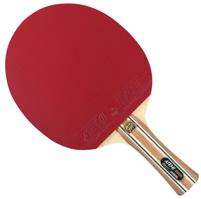 Produktbild von Atemi Tischtennisschläger Carbon Anatomic ITTF - Profi Qualität