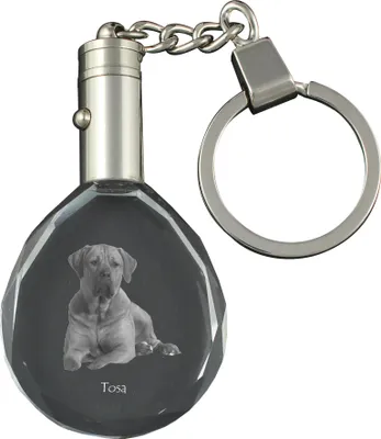 Produktbild von Tosa Inu, Tosa-Hund - Anhänger mit einem Foto eines Hundes, Schlüsselanhänger aus Kristall in einer Geschenkbox, ein einzigartiges Geschenk von Art-Dog