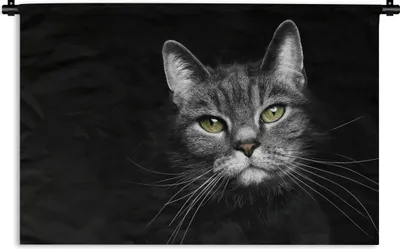 Produktbild von MuchoWow® Wandteppich Wandbehang Haustiere - Katze - Tiere - Schwarz - Weiß 90x60 cm Tapisserie Dekoration Wandtuch - Wandskulpturen - Bildteppich