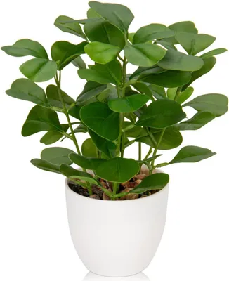 Produktbild von Kunstpflanze Ficus Dekopflanze im Topf für Fensterbank Wohnzimmer Badezimmer