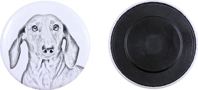 Produktbild von Dachshund Rauhhaar, Dackel, Teckel Magnet mit einem Hundepfotenabdruck, außergewöhnlich leicht, starker Magnet, handgefertigtes Produkt der Marke Art-Dog