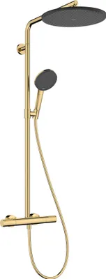 Immagine prodotto di hansgrohe Raindance Alive S PURO système de douche 300 1jet avec élément Ecostat, 24592990, 24592990