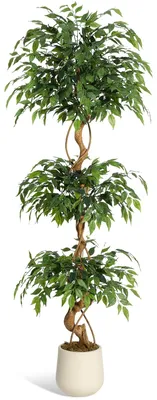 Productafbeelding van Kunstplant Ficus, 180 cm (6 voet), levensechte plant in pot, geschikt voor binnendecoratie