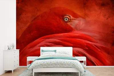 Produktbild von MuchoWow® Fototapete für Wohnzimmer oder Schlafzimmer Wandtapete Vinyl Motivtapete Tropisch - Vogel - Rot - Tiere - 600x400 cm - Vinyltapeten