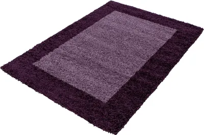 Produktbild von Teppich Wohnzimmer Hochflor Violett 300x400 Rechteck Bordüre Design aus Polypropylen