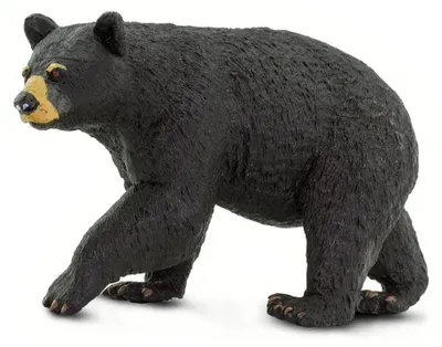 Produktbild von Safari Ltd Black Bear 2 Black One Size
