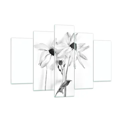 Produktbild von Bilder auf glas - 5 Teile - Verwelkt Blumen Monochrom - 150x100cm - Glasbilder - Wandbilder - Bilder - Wanddekoration aus Glas - Glas Bilder - Wandbild auf Glas - GEA150x100-4737
