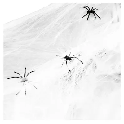 Imagen del producto de Decoración de Halloween: telaraña, 2 arañas, 3,5 metros